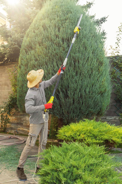 Lawn Grading and Leveling